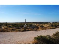SE VENDE FINCA RUSTICA EN PARTIDA DE ALTABIX ELCHE