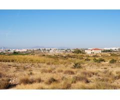 SE VENDE FINCA RUSTICA EN PARTIDA DE ALTABIX ELCHE