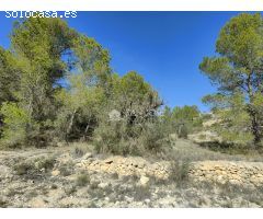VENTA DE TERRENO CON CUEVA EN LA ROMANA