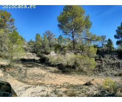 VENTA DE TERRENO CON CUEVA EN LA ROMANA