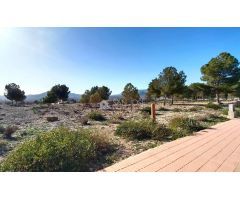 VENTA DE SUELO URBANIZABLE EN SALINAS