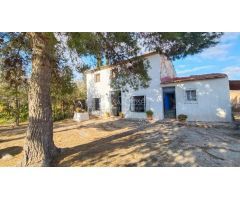 VENTA DE CHALET DE LUJO EN MONFORTE DEL CID