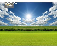 SE VENDE SOLAR EDIFICABLE DE 1.000 M2 EN CACHAMUIÑA REF. 1.533