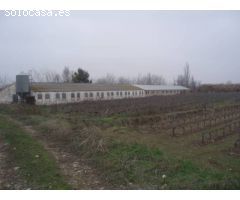 Terreno en venta 