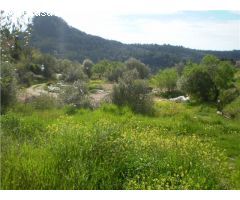 SOLAR EN VENTA EN GALILEA