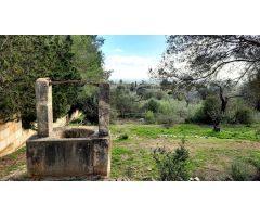 FINCA RUSTICA EN BINISSALEM CON PROYECTO Y LICENCIA