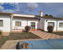 PARCELA CON VIVIENDA EN URB LAS VIÑAS (ALBACETE) A 5 KM DE LA CIUDAD