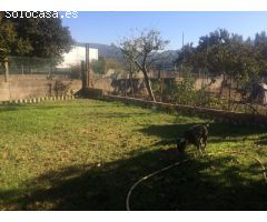 CASA DE 2 PLANTAS CON TERRENO