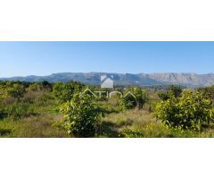 Chalet con 7 anegadas rodeado de naturaliza situado en Gandia zona Marxuquera