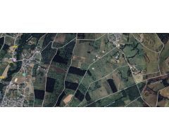 FINCA RUSTICA - BEMBIBRE