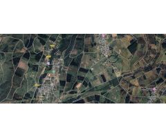 FINCA RUSTICA - BEMBIBRE