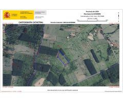 FINCA RUSTICA - BEMBIBRE