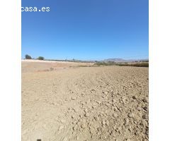 PARCELA RÚSTICA EN VILLAFRANCO DEL GUADALHORCE