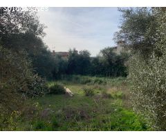 Solar urbano en Venta en Sotillo de la Adrada, Ávila