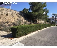 PARCELA EN ALTORREAL DE 1345 METROS