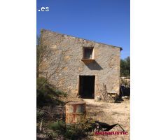 FINCA RUSTICA DE  22.203 M2 CON 21.472 DE OLIVOS DE REGADIO Y CON 31 M2 CASITA HERRAMIENTAS