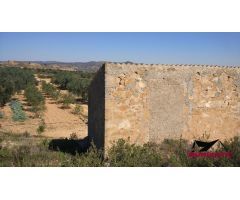 FINCA RUSTICA DE  22.203 M2 CON 21.472 DE OLIVOS DE REGADIO Y CON 31 M2 CASITA HERRAMIENTAS
