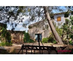 MASIA DE 600 M2 DEL SIGLO XIII A LAS AFUERAS DE VILA-RODONA