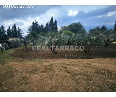 Chalet independiente con piscina, zona de cultivo y amplio garaje – Parcela de 1.298 m²