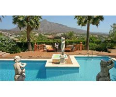 Charming villa en Nueva Andalucia,Marbella
