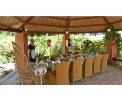 Charming villa en Nueva Andalucia,Marbella