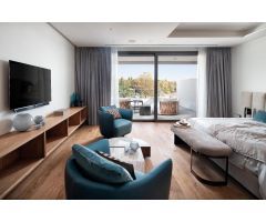 Lujoso atico-duplex  en Milla de Oro, Marbella