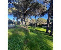 PARCELA EN CERRO MURIANO