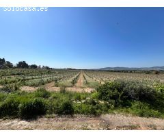 Terreno urbano en Venta en Llorenç del Penedès, Tarragona