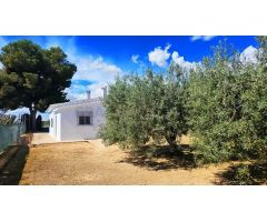 OPORTUNIDAD - HERMOSA CASA DE CAMPO EN TORRELLANO