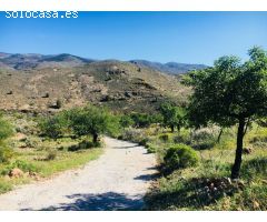 CORTIJO CON TERRENO EN VENTA EN FONDON