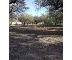 TERRENO RURAL CON AGUA