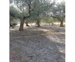 TERRENO RURAL CON AGUA