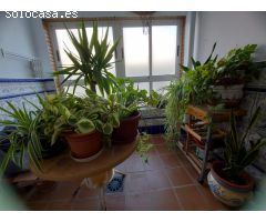 PISO EN VENTA EN EL EJIDO, ZONA CENTRO