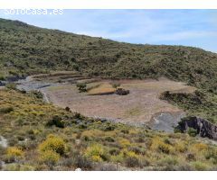 FINCA A LA VENTA EN FELIX