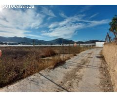 TERRENO AGRARIO A LA VENTA EN ALCAUDIQUE