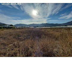 TERRENO AGRARIO A LA VENTA EN ALCAUDIQUE