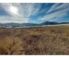 TERRENO AGRARIO A LA VENTA EN ALCAUDIQUE