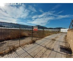 TERRENO AGRARIO A LA VENTA EN ALCAUDIQUE