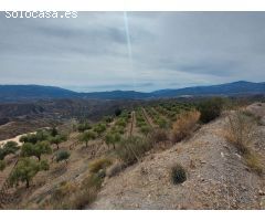 Finca con cortijo, invernadero y bodega ecológica en Laroles
