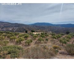 Finca con cortijo, invernadero y bodega ecológica en Laroles