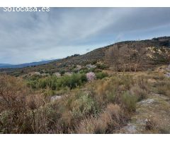 Finca con cortijo, invernadero y bodega ecológica en Laroles