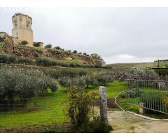 FINCA A LA FALDA DEL CASTILLO DE BELALCAZAR!