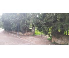 MAGNÍFICA PARCELA URBANA (Edificable). Ctra. de los Morales
