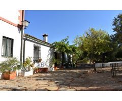 Fantástica finca a 15 Km de Montoro!