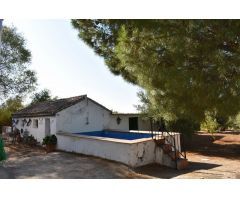 Fantástica finca a 15 Km de Montoro!
