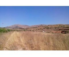 Parcela en Venta en La Romana, Alicante