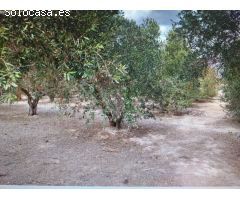 CASA DE CAMPO EN VENTA EN CREVILLENTE