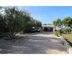 CASA DE CAMPO EN CREVILLENTE CON PARCELA DE 4800 M2