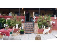 VILLA EN DOLORES DE 283M2 CON 4500 M2 DE PARCELA.