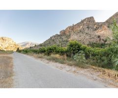 FINCA DE AGUACATES EN VELEZ DE BENAUDALLA